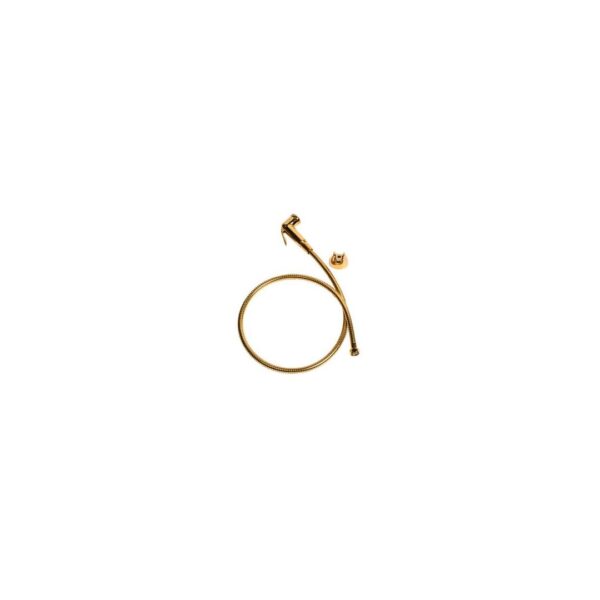 FlexiTub Toilet Spray with Hose | Gold