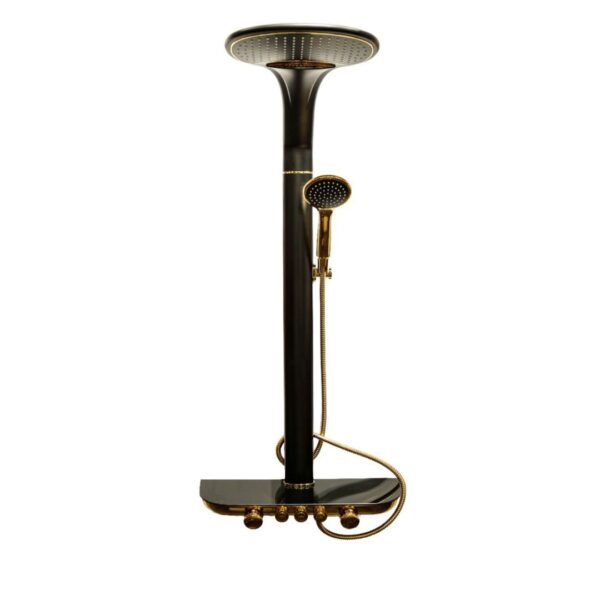 Shower Bar With Mixer & Shower Handle | Black with Gold Decoration